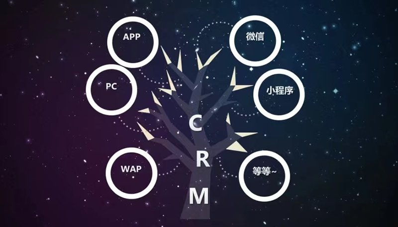 CRM项目的战略想法